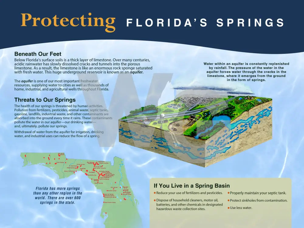 An educational sign titled 'Protecting Florida's Springs' with a dark blue header, ocean illustration, text sections about spring threats and protection, and a small map showing spring locations in Florida.