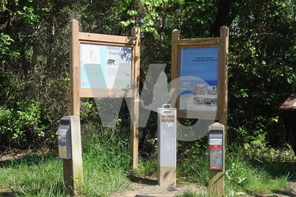 Upright Wayside Exhibit Mounts (Wood/Recycled Lumber)