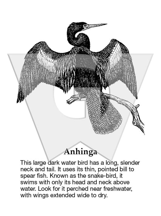 Anhinga Sign