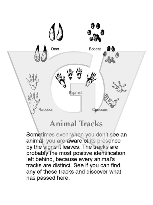 Animal Tracks Sign