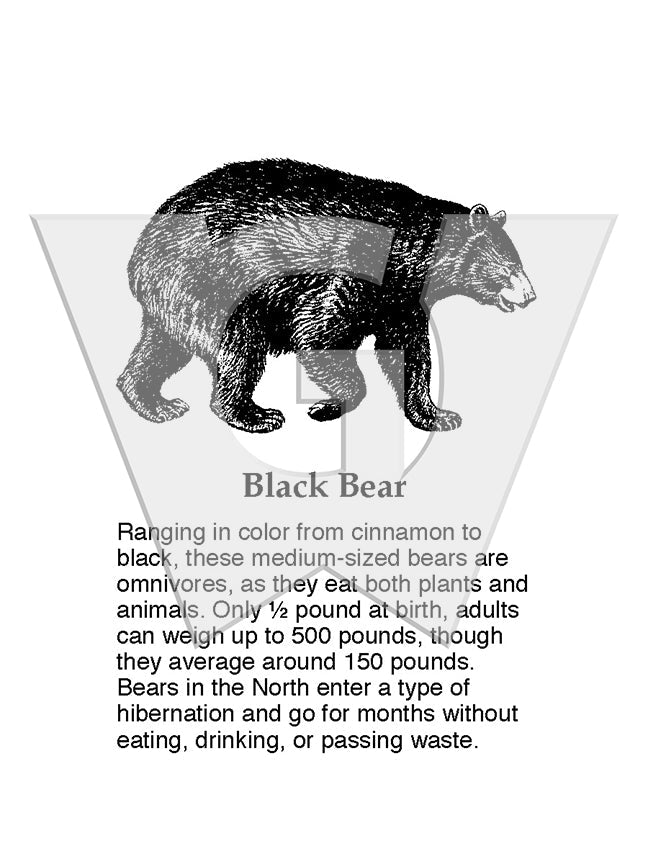 Black Bear Sign