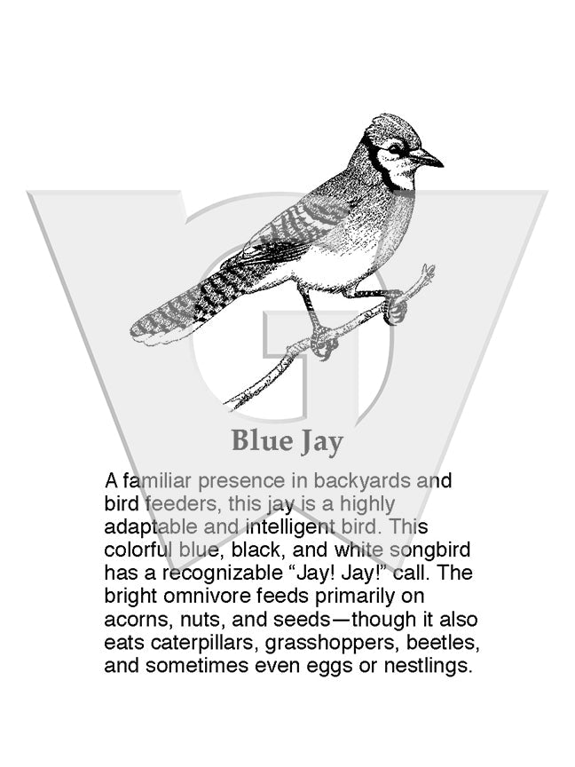 Blue Jay Sign