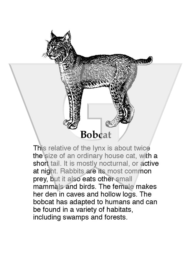 Bobcat Sign