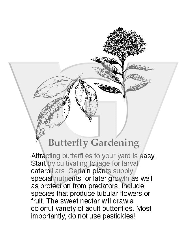 Butterfly Gardening Sign
