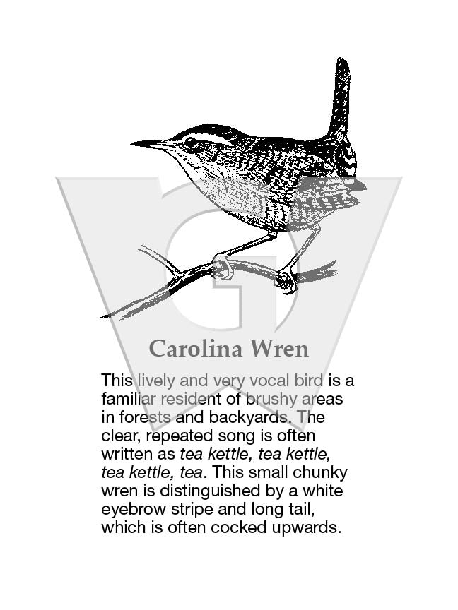 Carolina Wren Sign