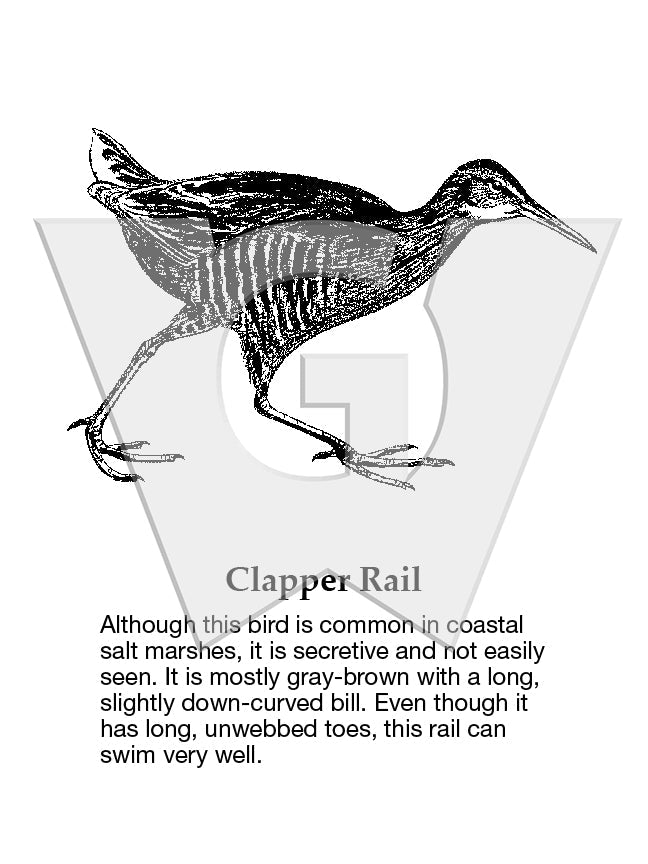 Clapper Rail Sign