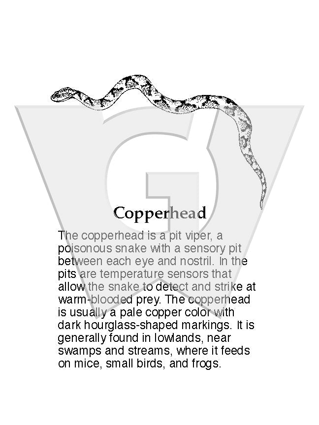 Copperhead Sign