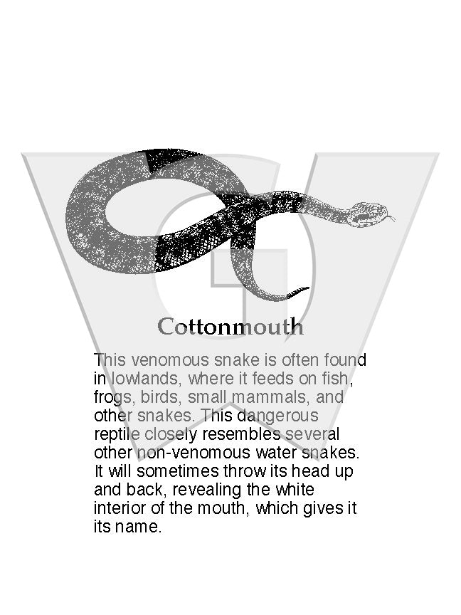 Cottonmouth Sign