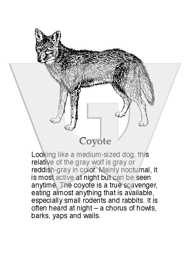 Coyote Sign