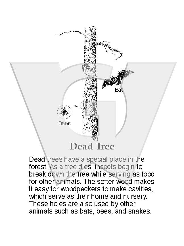 Dead Tree Sign