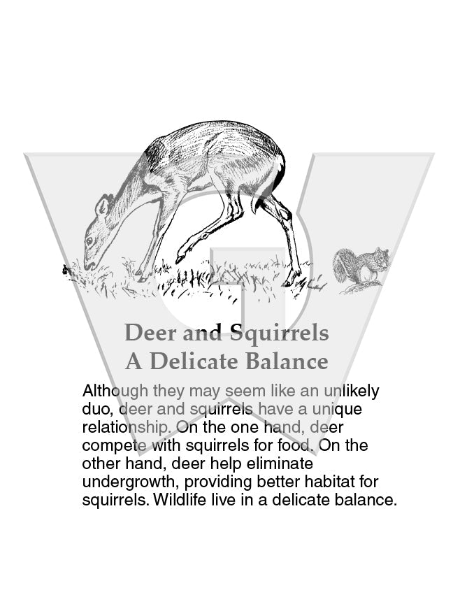 Deer & Squirrels: A Delicate Balance Sign