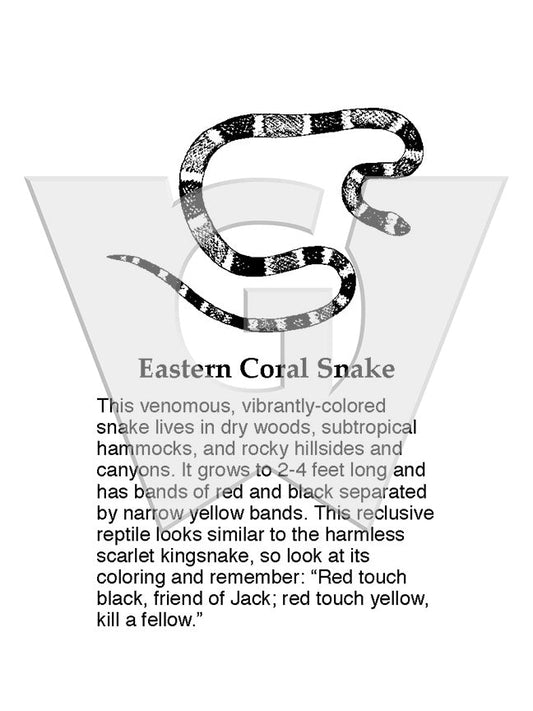 Eastern Coral Snake Sign