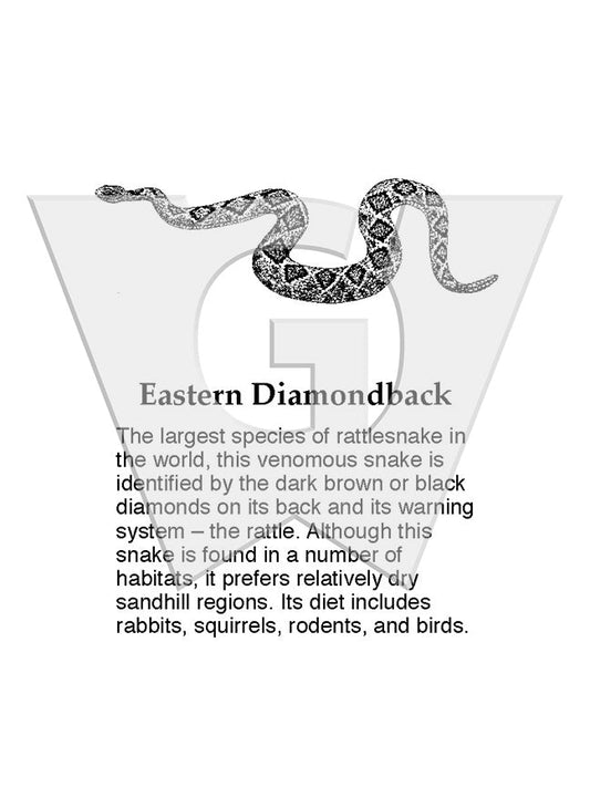Eastern Diamondback Rattlesnake Sign