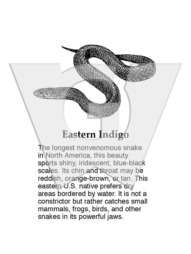 Eastern Indigo Sign
