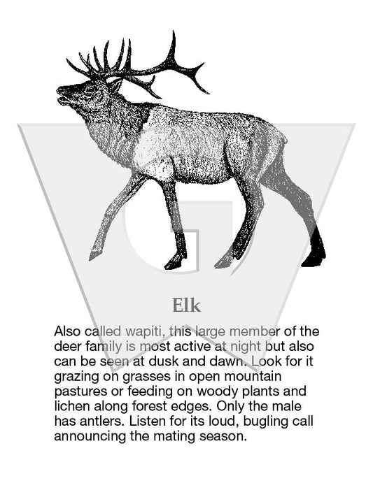 Elk Sign