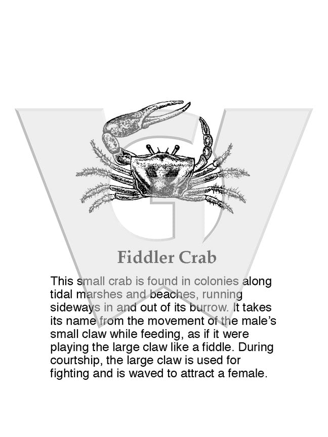 Fiddler Crab Sign