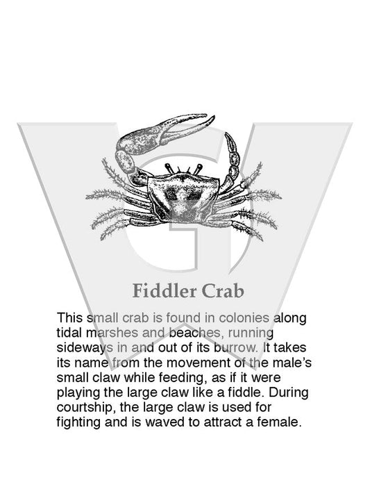 Fiddler Crab Sign
