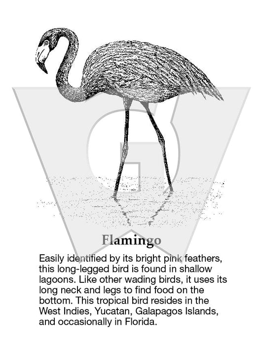 Flamingo Sign