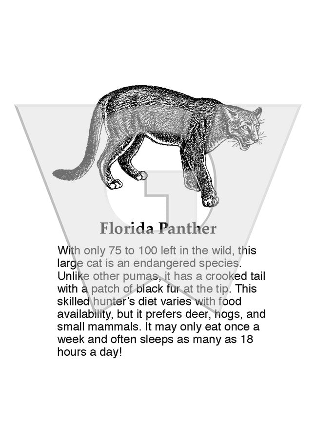 Florida Panther Sign