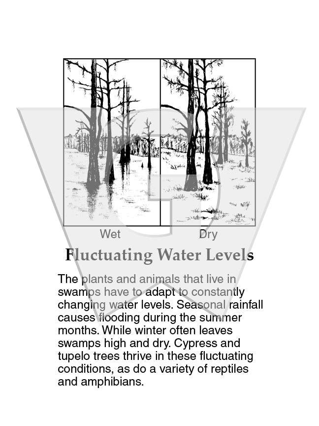 Fluctuating Water Levels Sign