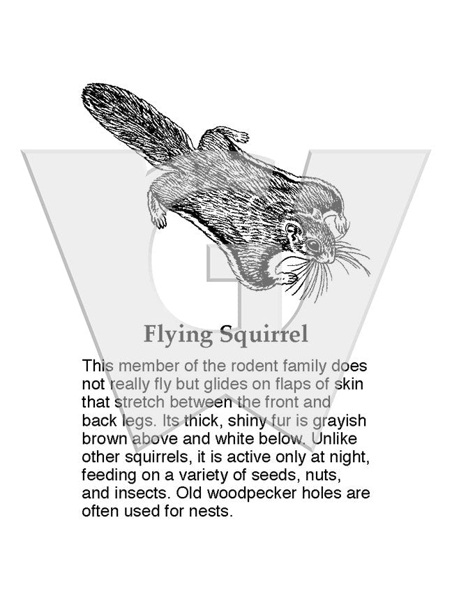 Flying Squirrel Sign