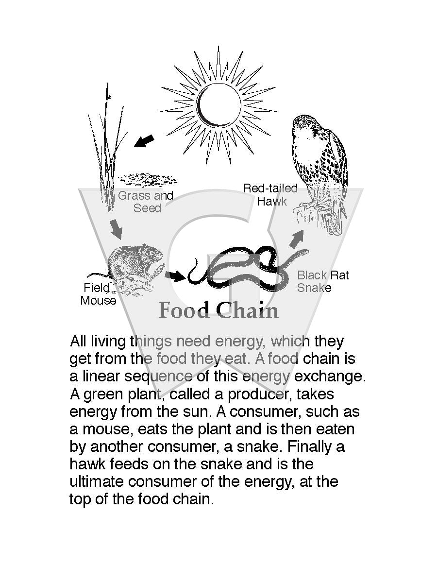 Food Chain Sign