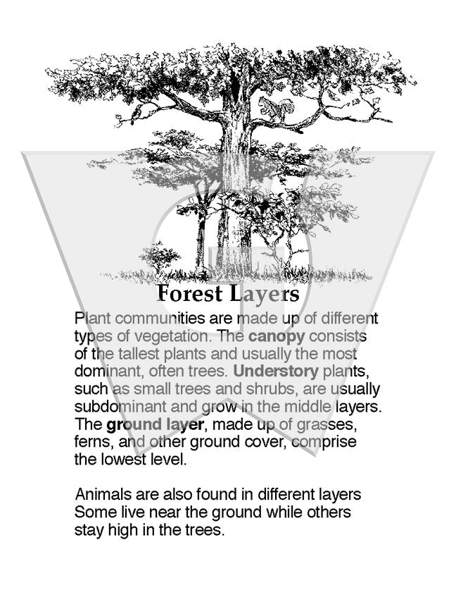 Forest Layers Sign
