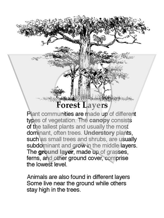 Forest Layers Sign