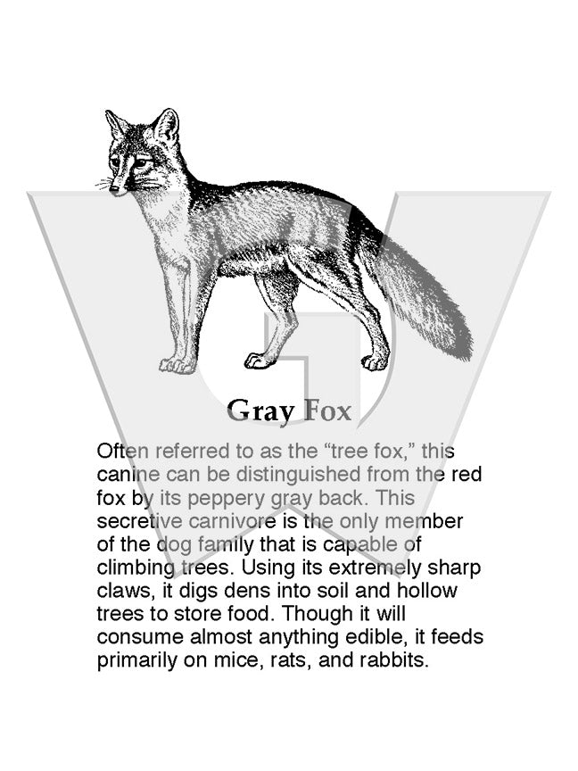 Gray Fox Sign