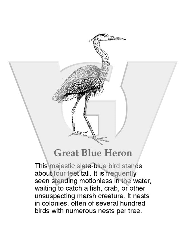 Great Blue Heron Sign