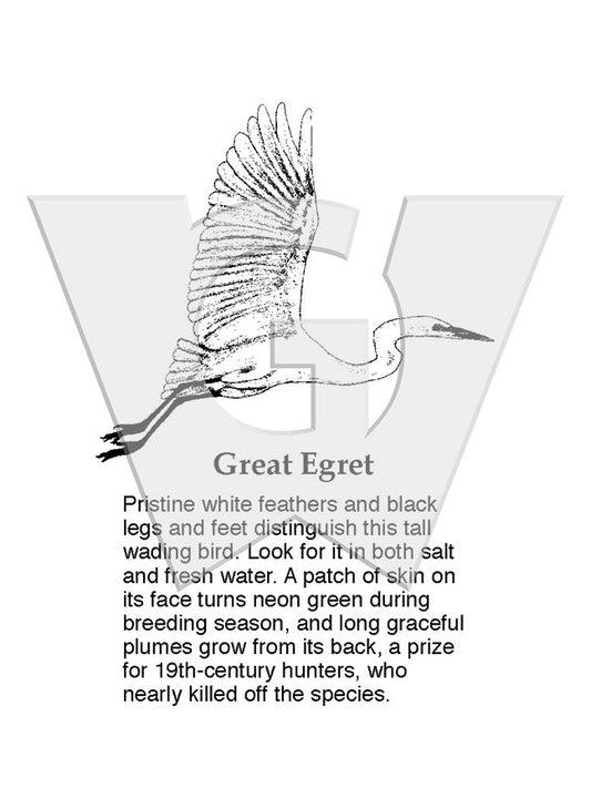 Great Egret Sign