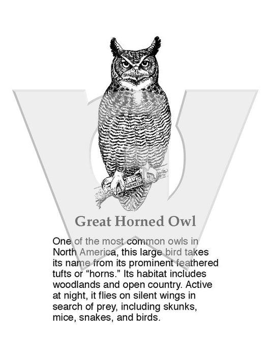 Great Horned Owl Sign