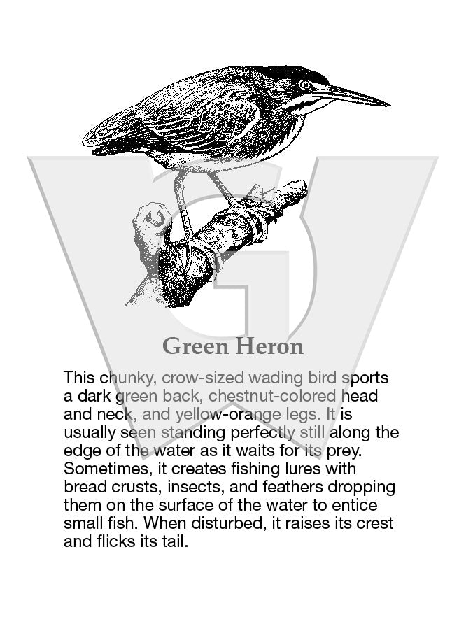 Green Heron Sign