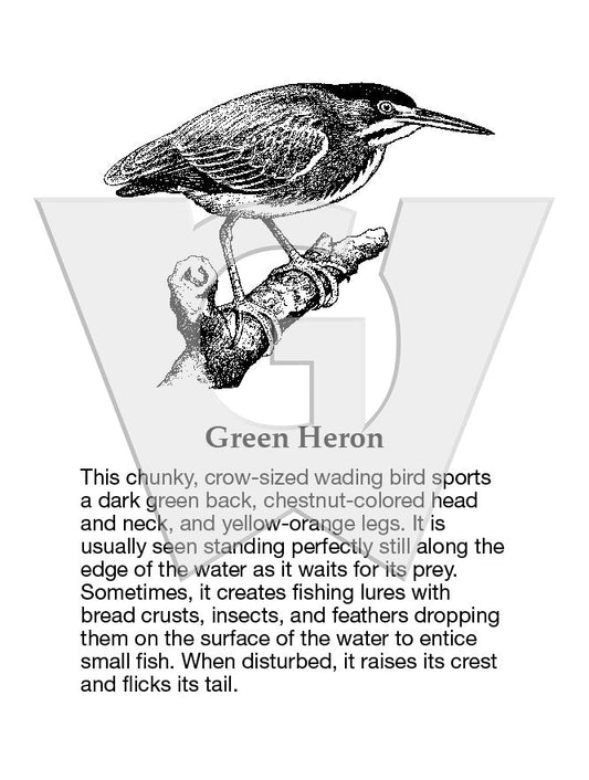 Green Heron Sign