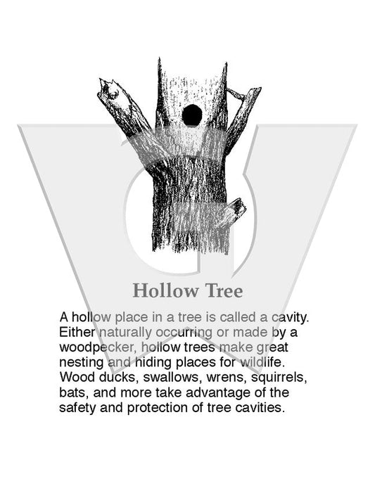 Hollow Tree Sign