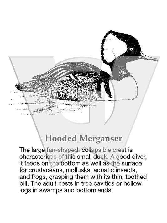 Hooded Merganser Sign