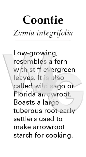 Coontie Sign