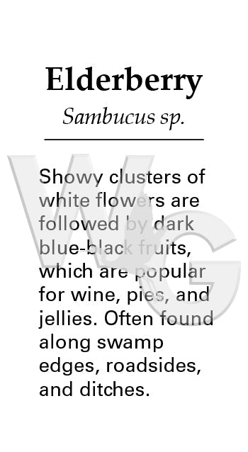 Elderberry Sign
