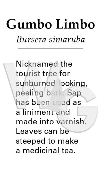 Gumbo Limbo Sign