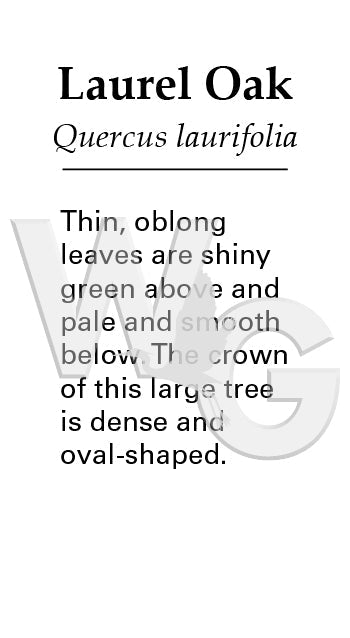 Laurel Oak Sign