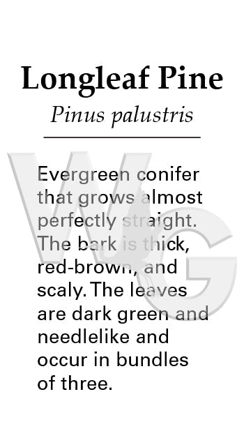 Longleaf Pine Sign