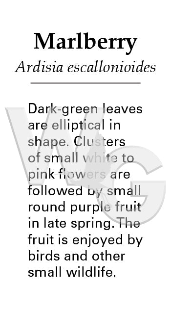 Marlberry Sign