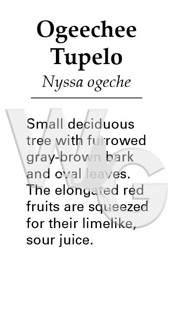 Ogeechee Tupelo Sign