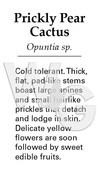 Prickly Pear Cactus Sign