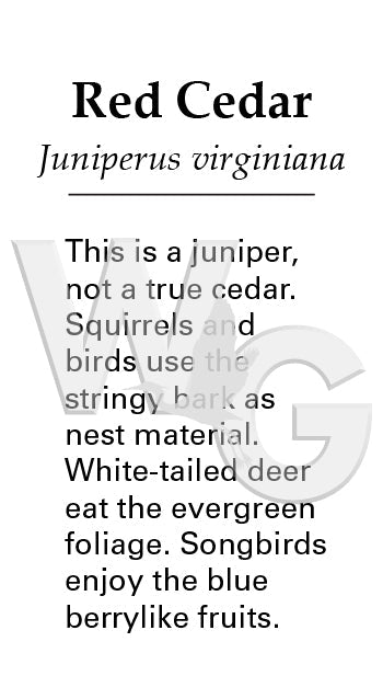 Red Cedar Sign