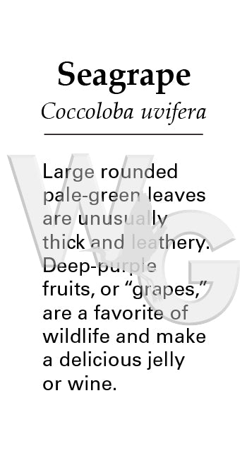 Seagrape Sign