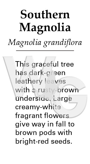Southern Magnolia Sign