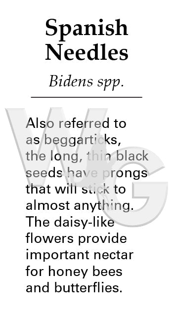 Spanish Needles Sign