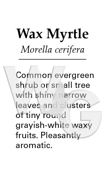 Wax Myrtle Sign