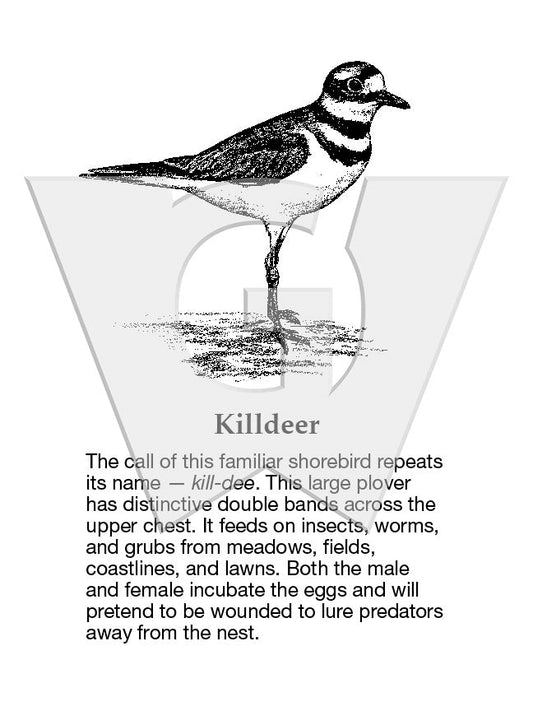Killdeer Sign